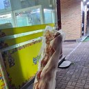 어리버리양꼬치 | 대만소세지와 오이 탕탕이를 모르는 당신을 위하여.. 중국식료품점 기웃거린 후기