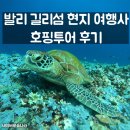 가나여행사 - 동구 필문대로 125 | 발리 길리섬 현지 여행사 호핑투어 후기