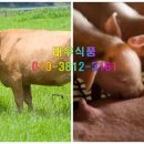 우리축산물유통 이미지