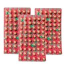 볼코리아 이미지