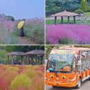 정클잎「노모의 말놀 | 서울 가볼만한곳 억새 핀 상암 하늘공원