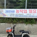 자전거탄풍경 | 울릉도 전기스쿠터 대여는 자전거탄풍경에서 꼬옥 이용해주면 되🛵