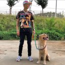 다리(DARI) 이미지