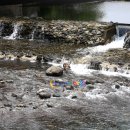 수정펜션 이미지