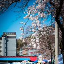 삼천포종합시장 이미지