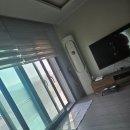 강화애견훈련학교 이미지