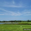 파아란스크린골프연습장 이미지