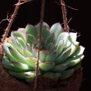 독서논술지도사 기본과정 이미지