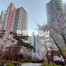 은평-046 이미지