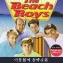 Surfin' U.S.A. - The Beach Boys 이미지