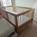 올리브데이 이미지