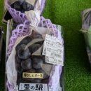 미경농산물