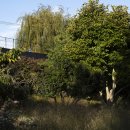 신효동-21 이미지