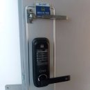 까치열쇠 이미지