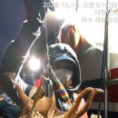 세븐피싱 Daum카페