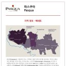 6월 정모 시음와인 (Pasqua) 이미지