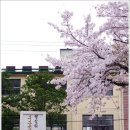 진해중학교 이미지