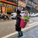 베트남 SAPA 쌀국수 한 그릇 할까요? 이미지