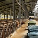 경영축산 이미지