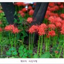 진영각