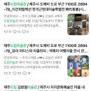 러브랜드미술관(휴관) | 제주 도립미술관 / 제주시 러브랜드 부근 1100로 2894-78_20세기 그래픽아트의 거장 마르크 샤갈 전시 🤡