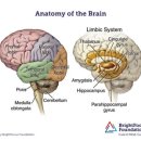 차메디컬 이미지