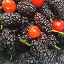 동복마을운동장 이미지