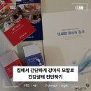 대산종합펫 | 강아지 모발검사로 간편한 건강검진 후기 헤어펫으로 강아지중금속평가하기