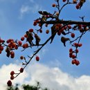 호수공원 10로 이미지