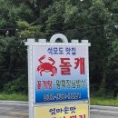 돌캐 이미지