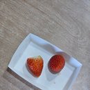 순이네농장 이미지