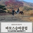 대불스포츠클럽 주차장 | 부산승마체험 아이랑 바모스승마클럽 유소년승마단 일일체험