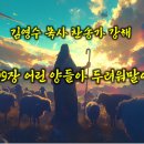 399장 어린 양들아 두려워 말아라(찬송가 강해) 이미지