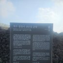 제주 월령리 선인장군락 | 제주 월령리 선인장 군락 숨은 명소 후기 | 이국적인 제주 서부 여행 코스 추천