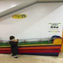 공룡나라어린이집 | 인천어린이박물관 예약 공룡 겨울방학 아이랑 갈만한곳