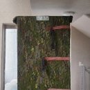 야은로11길-1 | 왜관 상주포장이사 신속한이사 찾았어요