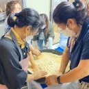 동해시-30 이미지