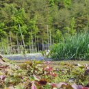 성주우리쉼터 이미지