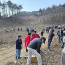 영동군의회 | 제80회 식목일 나무심기