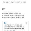 '윤슬' 만큼 예쁜 순우리말 단어 '볕뉘'.jpg 이미지