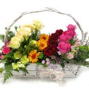 형제당구장 이미지