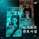 스카이비젼 | 센토사섬 가는 방법 / 해리포터 비전오브매직, 스카이헬릭스 후기 / 티옹바루 베이커리 비보시티점