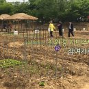 화영농장2 이미지