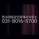 판교대림공인중개사사무소 이미지