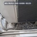 비둘기세탁소 이미지