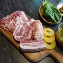 제주공상 이미지