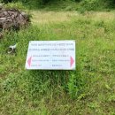 상모리-21 이미지