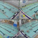 짐스아쿠아 이미지