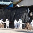 임순석 농장 이미지