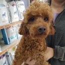 전주중산초등학교 이미지